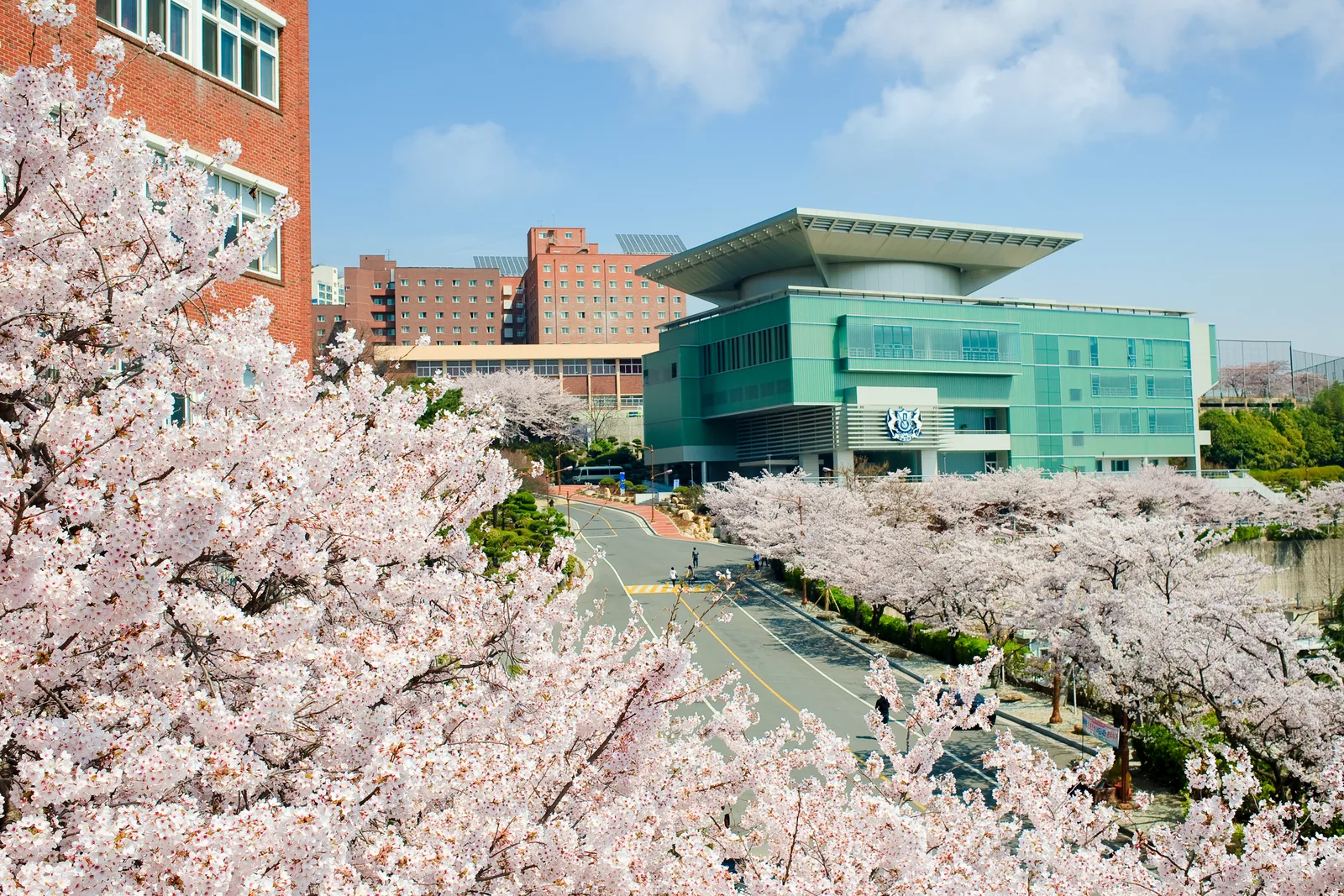 庆南大学校园风光